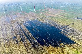 Autumn Grain Corn Flooded in Xinxiang, China