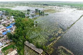 Grain Corn Flooded in Xinxiang, China