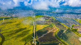 Coastal Beach Wind Power And Beach Ecological Aquaculture in Yancheng, China