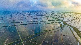 Coastal Beach Wind Power And Beach Ecological Aquaculture in Yancheng, China