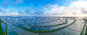 Coastal Beach Wind Power And Beach Ecological Aquaculture in Yancheng, China