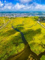 Coastal Beach Wind Power And Beach Ecological Aquaculture in Yancheng, China