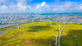 Coastal Beach Wind Power And Beach Ecological Aquaculture in Yancheng, China