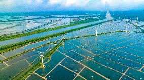 Coastal Beach Wind Power And Beach Ecological Aquaculture in Yancheng, China