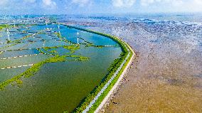 Coastal Beach Wind Power And Beach Ecological Aquaculture in Yancheng, China