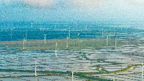 Coastal Beach Wind Power And Beach Ecological Aquaculture in Yancheng, China