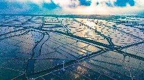 Coastal Beach Wind Power And Beach Ecological Aquaculture in Yancheng, China