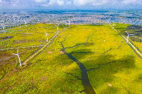 Coastal Beach Wind Power And Beach Ecological Aquaculture in Yancheng, China