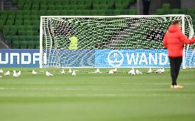 (SP)AUSTRALIA-MELBOURNE-FIFA-WOMEN'S WORLD CUP-ROUND OF 16-SWE VS USA