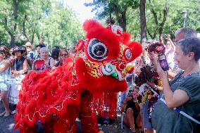 Lion Dance In The Streets - Madrid