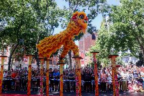 Lion Dance In The Streets - Madrid