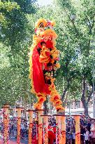 Lion Dance In The Streets - Madrid