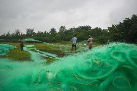 Daily Life In Fraserganj Fishing Harbour, West Bengal, India