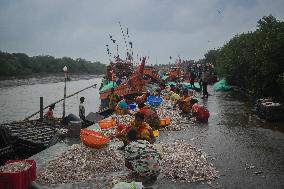 Daily Life In Fraserganj Fishing Harbour, West Bengal, India