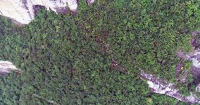 Jinfo Mountain Cliff Walkway in Chongqing