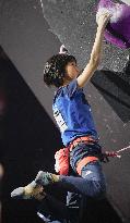 Sport Climbing: World championships