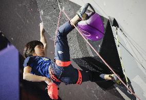 Sport Climbing: World championships