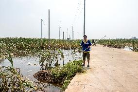 Farmers Fish in A Flooded Corn Field in Xinxiang, China