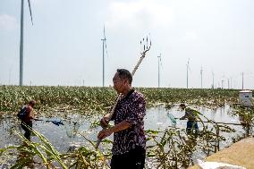 Farmers Fish in A Flooded Corn Field in Xinxiang, China
