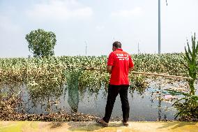 Farmers Fish in A Flooded Corn Field in Xinxiang, China