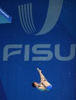 (Chengdu Universiade)CHINA-CHENGDU-WORLD UNIVERSITY GAMES-DIVING (CN)