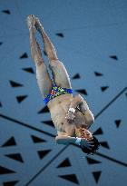 (Chengdu Universiade)CHINA-CHENGDU-WORLD UNIVERSITY GAMES-DIVING (CN)