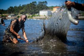 Viking Pilgrimage In Galicia - Spain