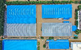 CHINA-HEBEI-ZHUOZHOU-FLOOD-BOOKS (CN)