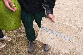 The Resisters On The Larzac Plateau - France