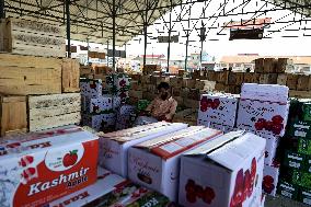 Fruit Business In Kashmir