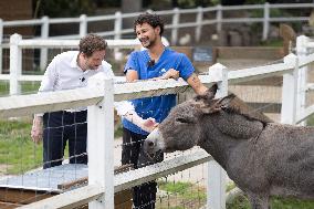 Clement Beaune visits a Brigitte Bardot foundation shelter - Bazoches-sur-Guyonne