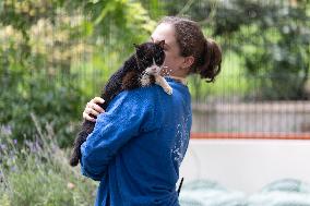 Animals at the Brigitte Bardot foundation shelter - Bazoches-sur-Guyonne