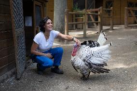 Animals at the Brigitte Bardot foundation shelter - Bazoches-sur-Guyonne