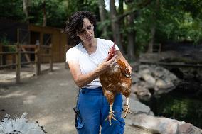 Animals at the Brigitte Bardot foundation shelter - Bazoches-sur-Guyonne