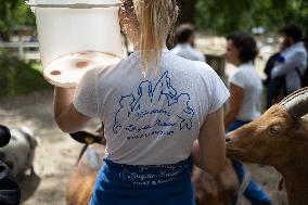 Animals at the Brigitte Bardot foundation shelter - Bazoches-sur-Guyonne