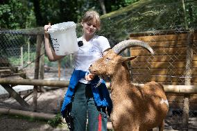 Animals at the Brigitte Bardot foundation shelter - Bazoches-sur-Guyonne