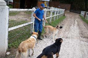 Animals at the Brigitte Bardot foundation shelter - Bazoches-sur-Guyonne