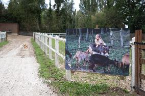 Animals at the Brigitte Bardot foundation shelter - Bazoches-sur-Guyonne