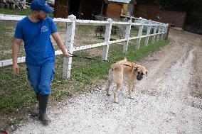 Animals at the Brigitte Bardot foundation shelter - Bazoches-sur-Guyonne