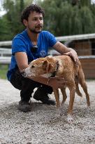 Animals at the Brigitte Bardot foundation shelter - Bazoches-sur-Guyonne