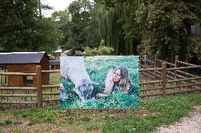 Animals at the Brigitte Bardot foundation shelter - Bazoches-sur-Guyonne