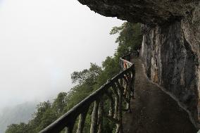 Cliff Walkway at Jinfo Mountain Scenic spot in Chongqing, China