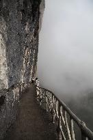 Cliff Walkway at Jinfo Mountain Scenic spot in Chongqing, China