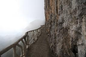 Cliff Walkway at Jinfo Mountain Scenic spot in Chongqing, China