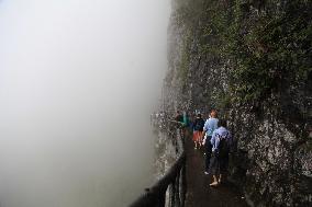 Cliff Walkway at Jinfo Mountain Scenic spot in Chongqing, China