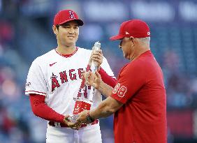 Baseball: Angels' Ohtani wins Player of Month honor