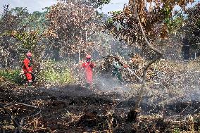 INDONESIA-RIAU-PEATLAND FIRE