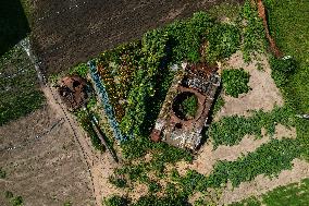 Local Residents Raise Vegetables And Flowers Next To A Destroyed Russian Tank