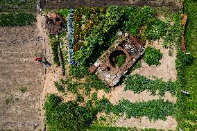 Local Residents Raise Vegetables And Flowers Next To A Destroyed Russian Tank