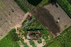 Local Residents Raise Vegetables And Flowers Next To A Destroyed Russian Tank